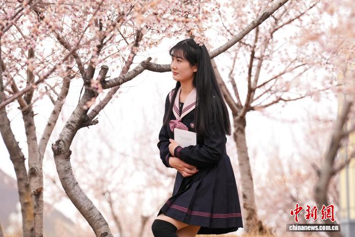 易七 27asia娛樂：雪域高原春意盎然 拉薩河畔繁花綻放